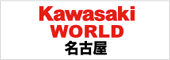 Kawasaki WORLD